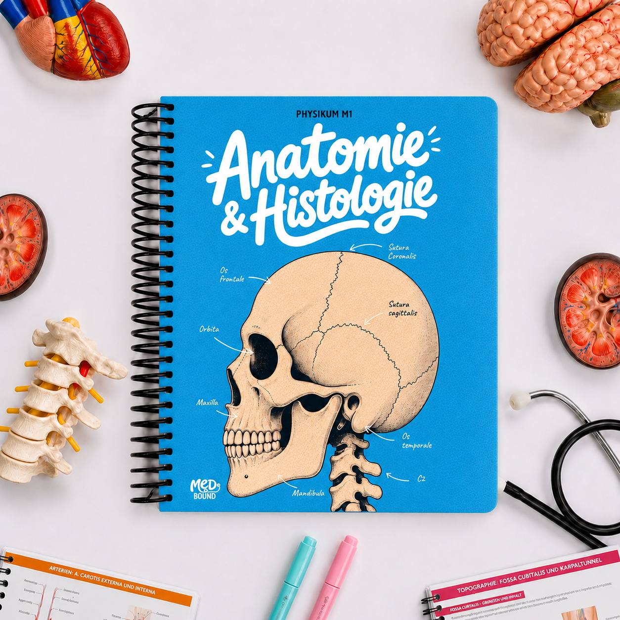 Anatomie & Histologie