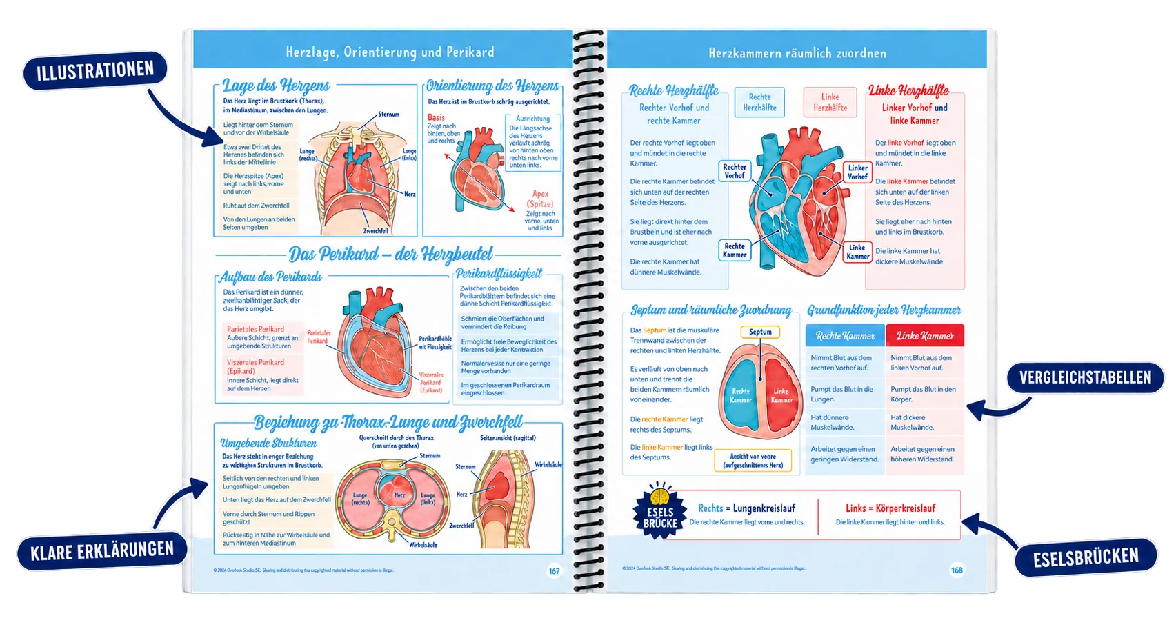 Aufgeschlagenes Pflege-Lernbuch mit Illustrationen, Erklärungen, Vergleichstabellen und Eselsbrücken