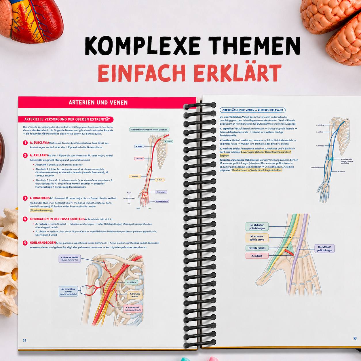 Band 1 — Anatomie & Histologie